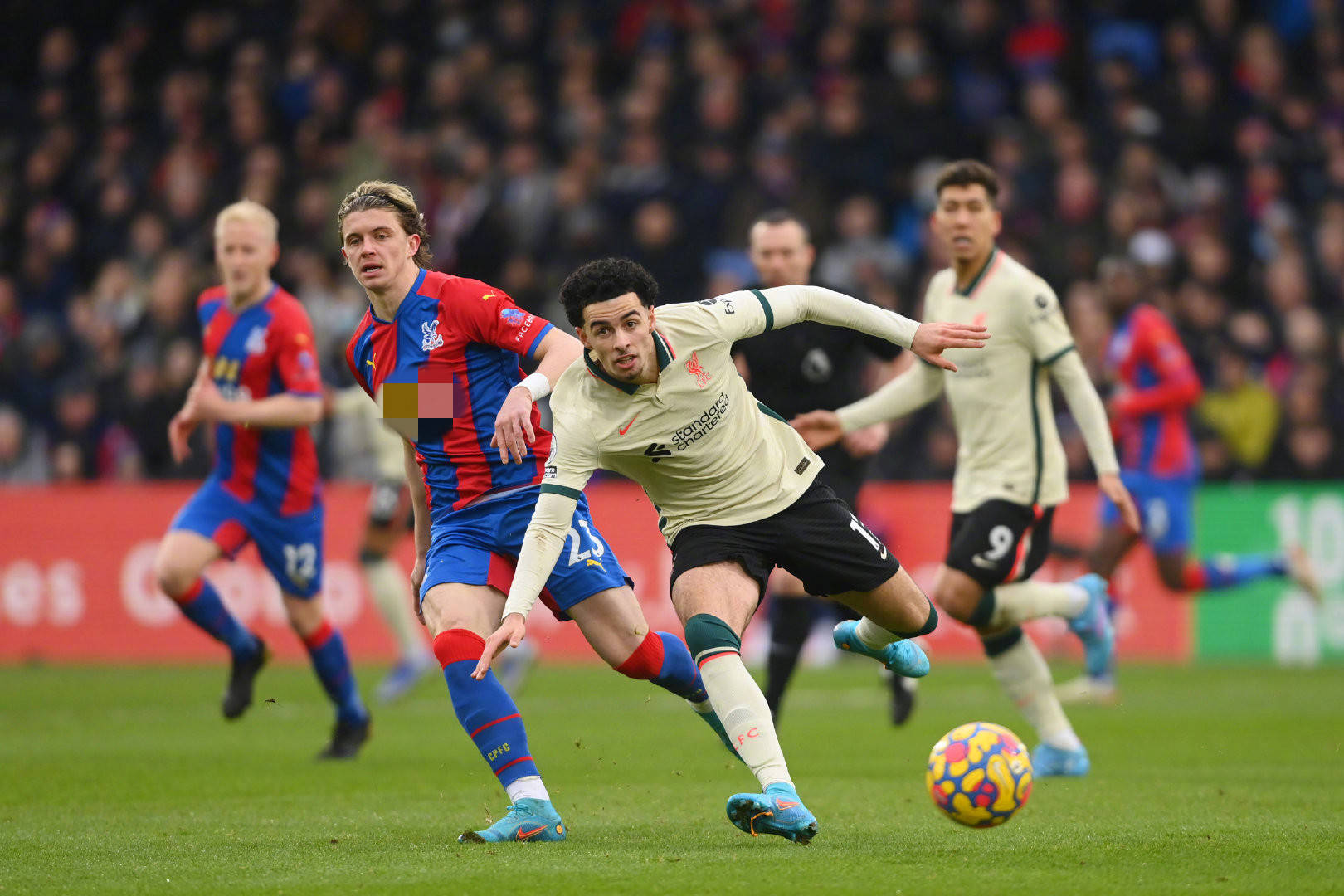 得更为开放 得更为开放